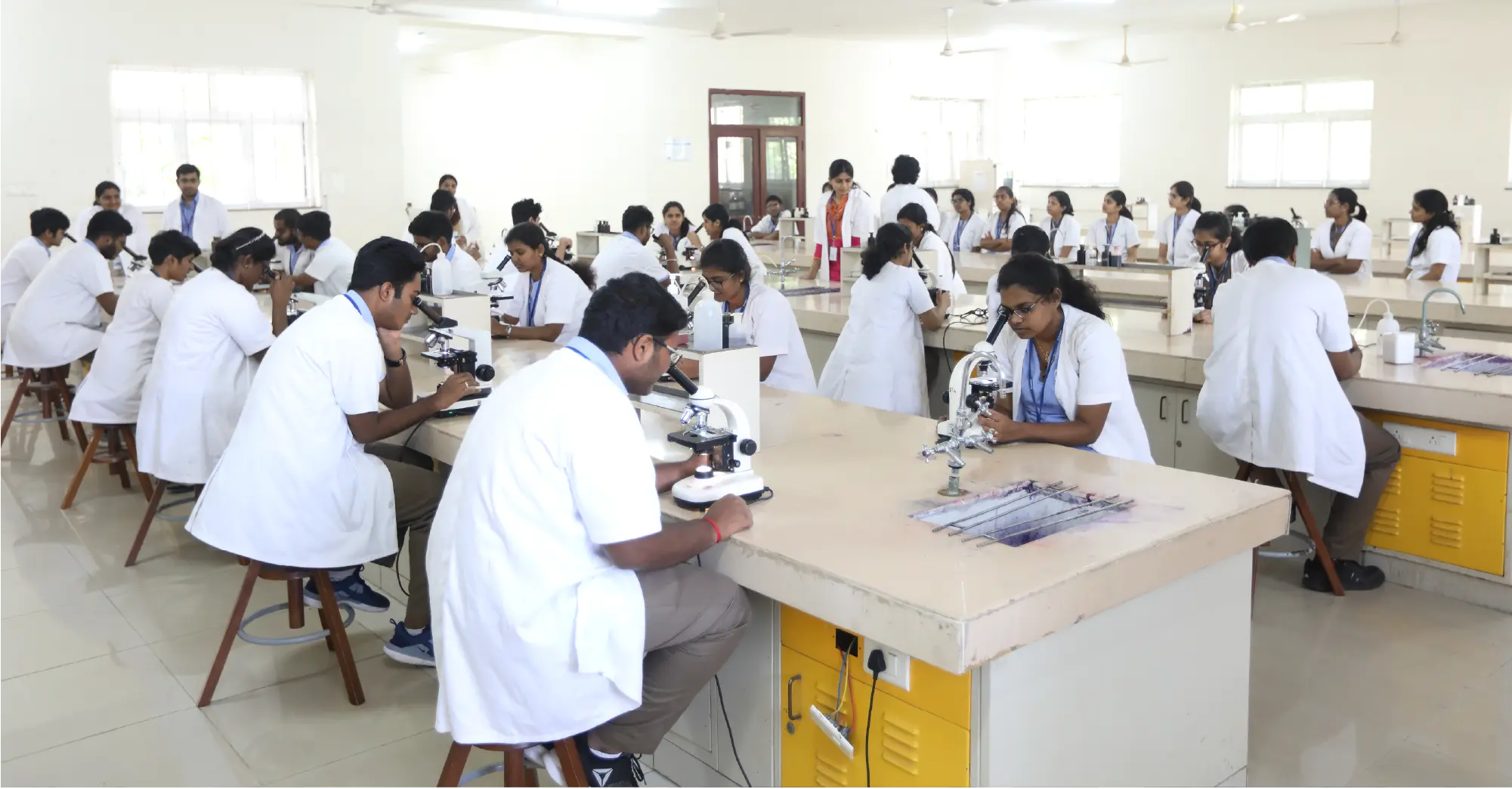 Professional Progress